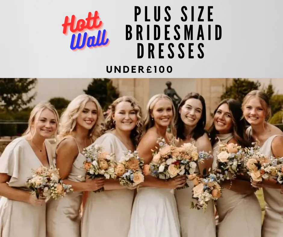 plus size bridesmaid dresses under £100