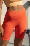 Ultimate Review: Fabletics High-Waisted Seamless Rib Shorts in Orange XS